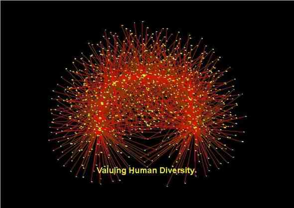 Valuing Human Diversity